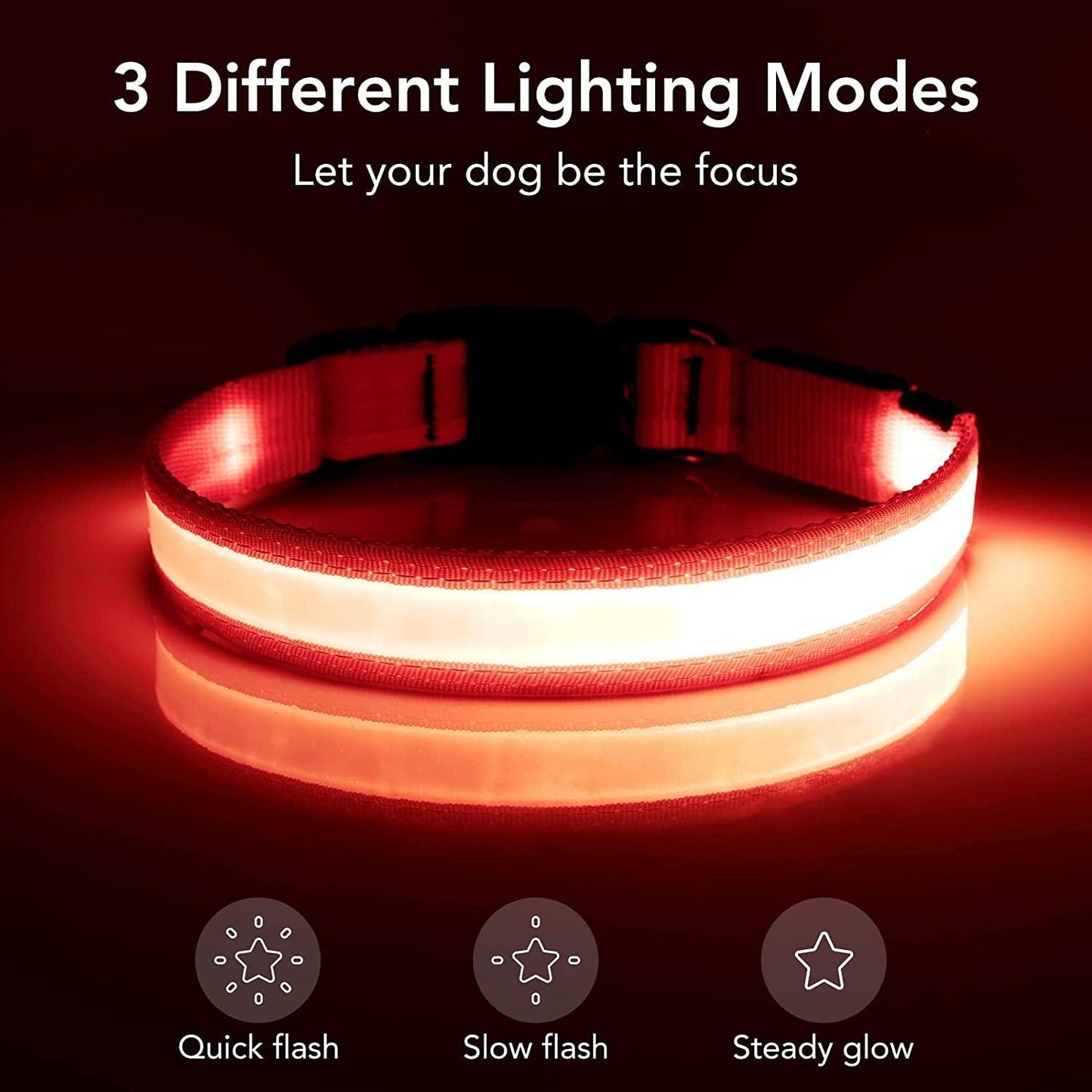 LED Dog Collar with Adjustable Brightness and Safety Features - District Goods