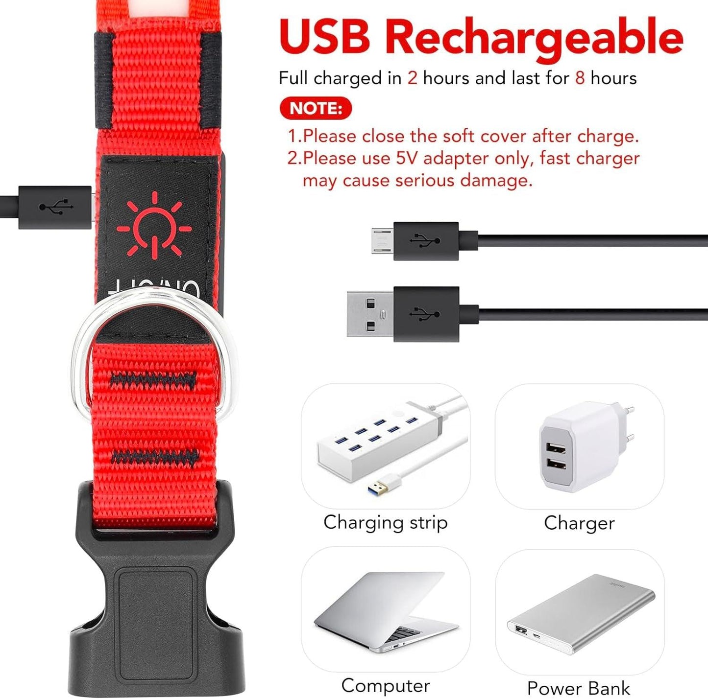 LED Dog Collar with Adjustable Brightness and Safety Features - District Goods