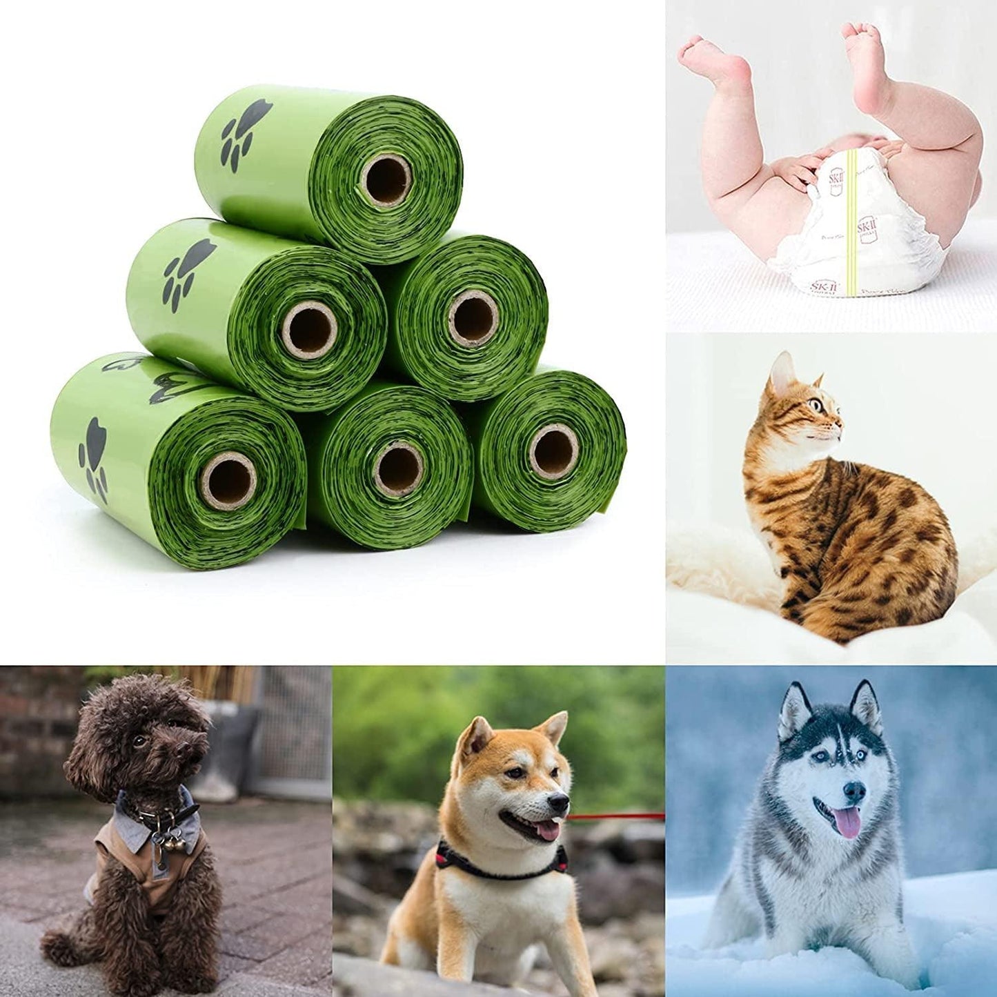 Biodegradable Dog Poop Bags with Dispenser - District Goods