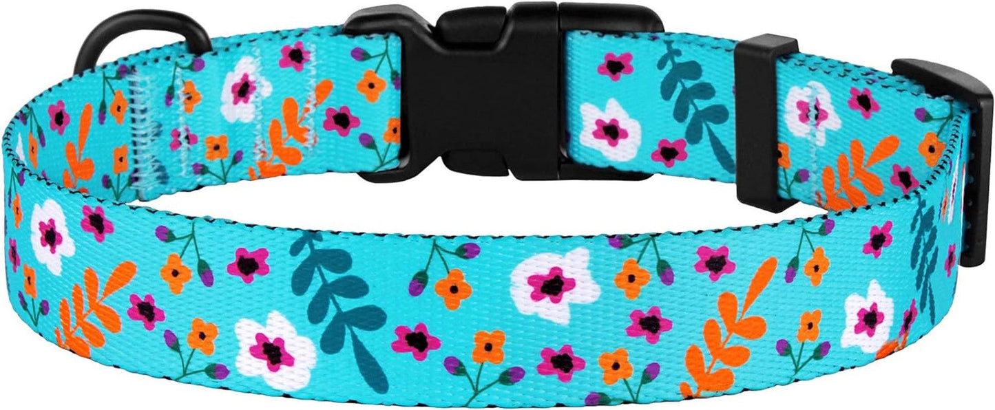 Adjustable Floral Nylon Dog Collar with Flower Print - District Goods