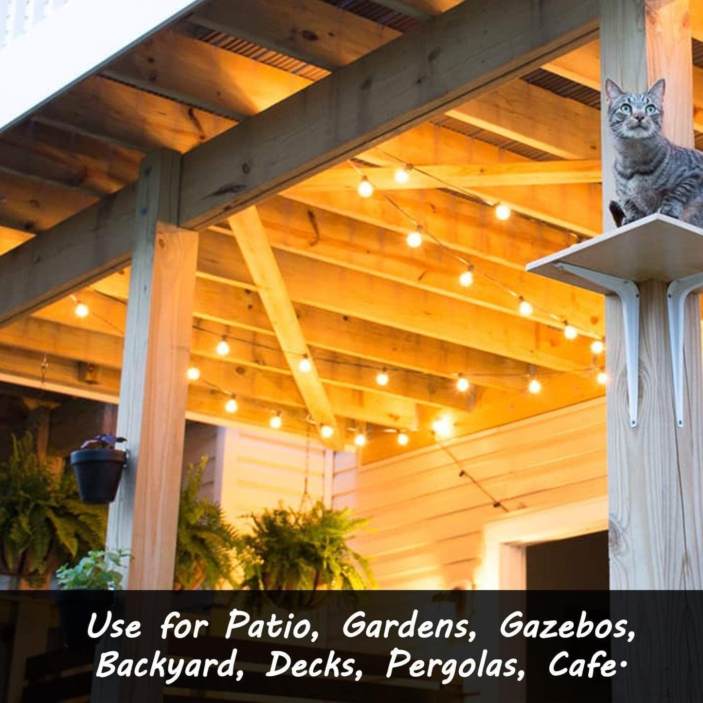 Outdoor Globe String Lights With Bulbs - District Goods