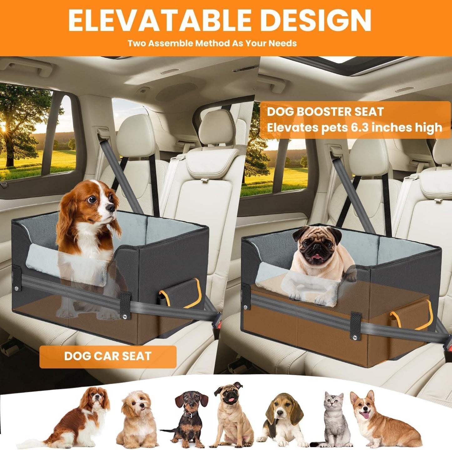 Pet Car Booster Seat for Small Dogs and Cats with Adjustable Strap - District Goods