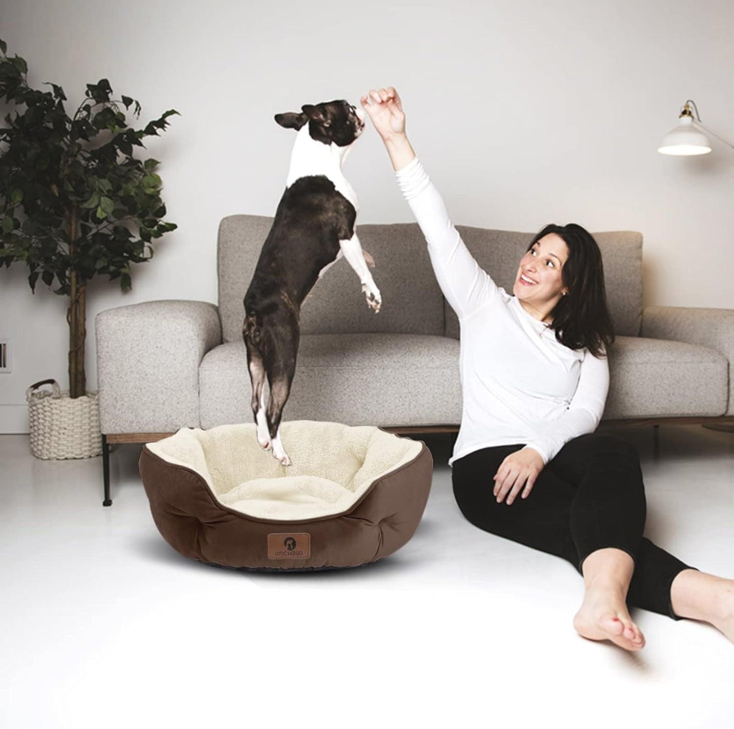 Pet Bed for Small Dogs and Cats - District Goods