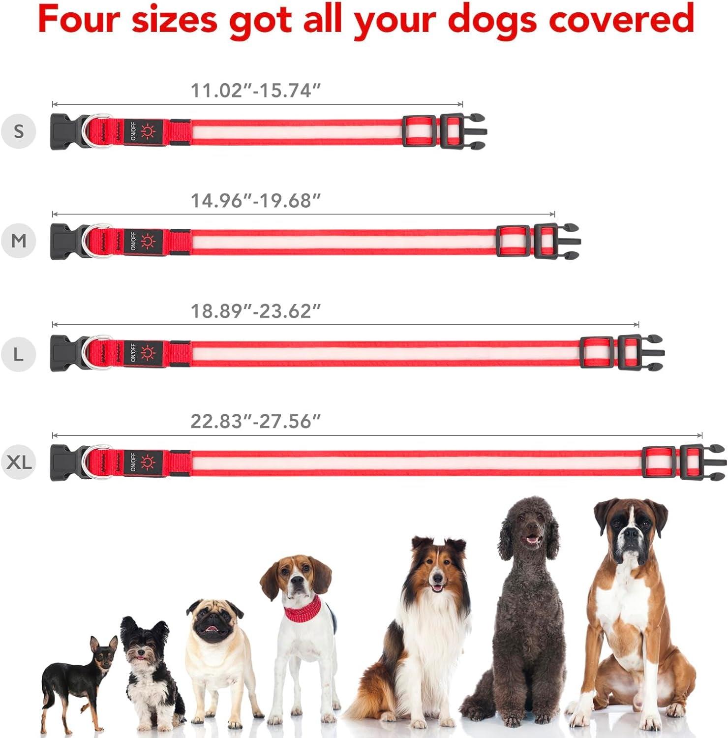 LED Dog Collar with Adjustable Brightness and Safety Features - District Goods